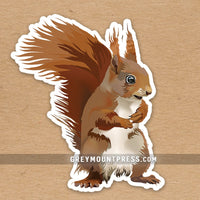 Squirrel laptop sticker. Squirrel waterbottle sticker.