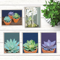 Succulent Collection: Set of 10 Cards