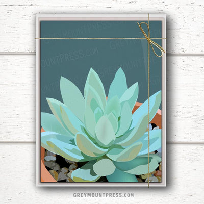 Succulent Collection: Set of 10 Cards