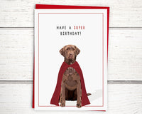 happy birthday cards, Chocolate lab birthday card, Dog birthday card for dog lovers