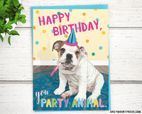 happy birthday cards, English bulldog birthday card, funny birthday cards for friends, birthday card dog lover, dog birthday card