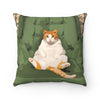 Funny cat throw pillow. Fat Cat throw pillow.