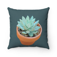Succulent throw pillows