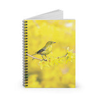 Pine Warbler Notebook