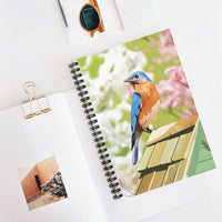 Bluebird notebook, gifts for bird lovers, bird notebook with bird design