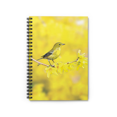 Pine Warbler Notebook